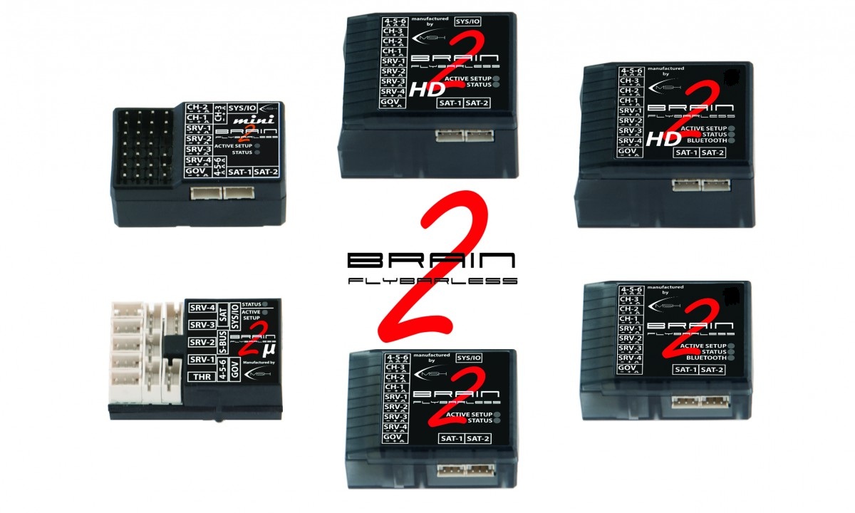 Brain2 family